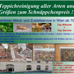 Teppich Reinigung